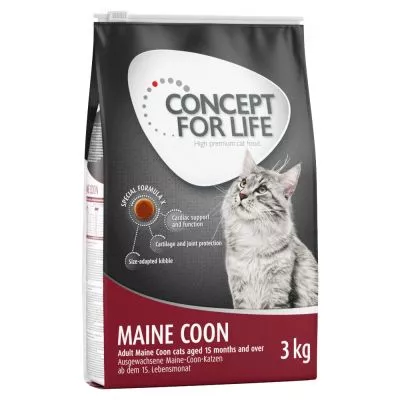 concept for life maine coon concept for life maine coon