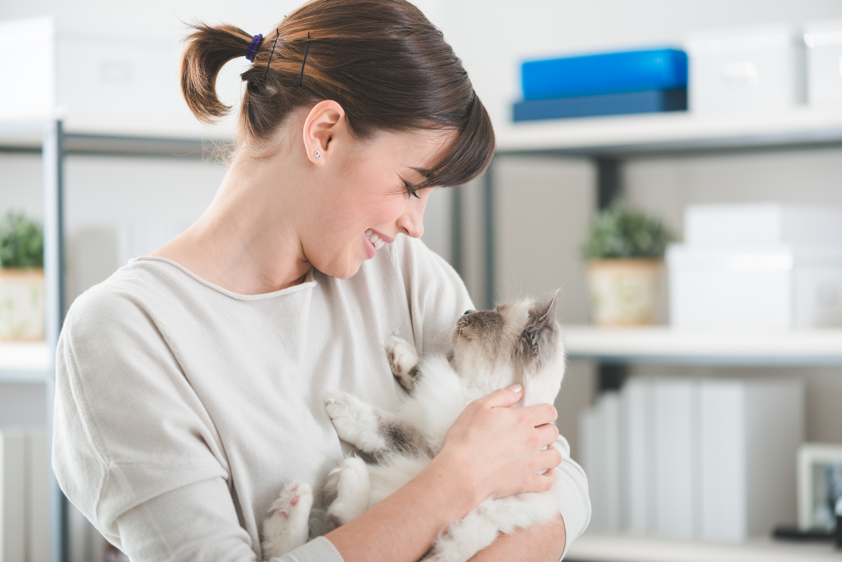 Elsker min kat mig? 10 tegn, der beviser det - zooplus