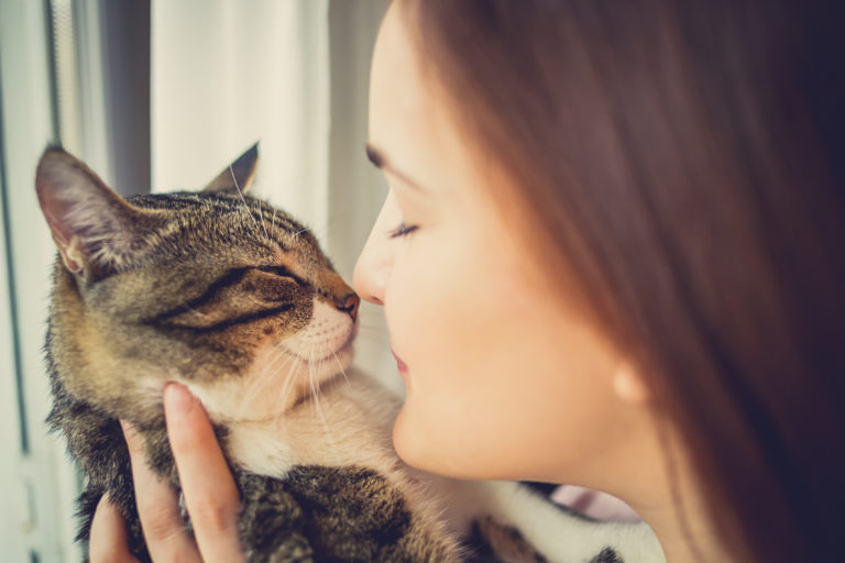 Hvorfor katte er gode for vores helbred -