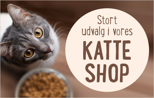 Stort udvalg i vores katte shop!