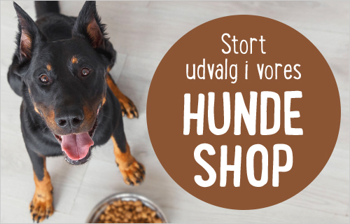 Stort udvalg i vores hundeshop!