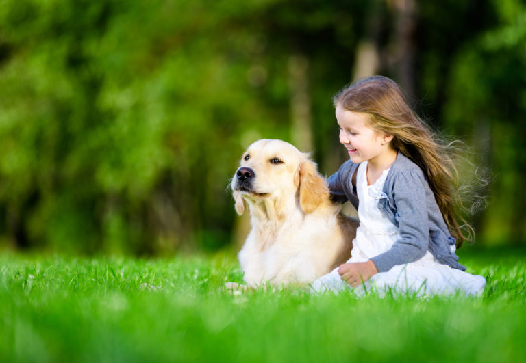 Pige med en golden retriever på græs