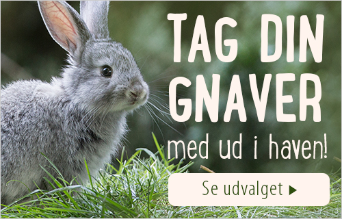 Gnaver ud i naturen