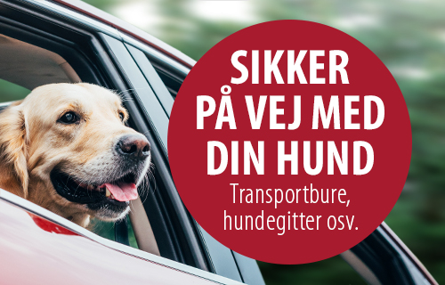 Hundetransport, & Hundegitter |