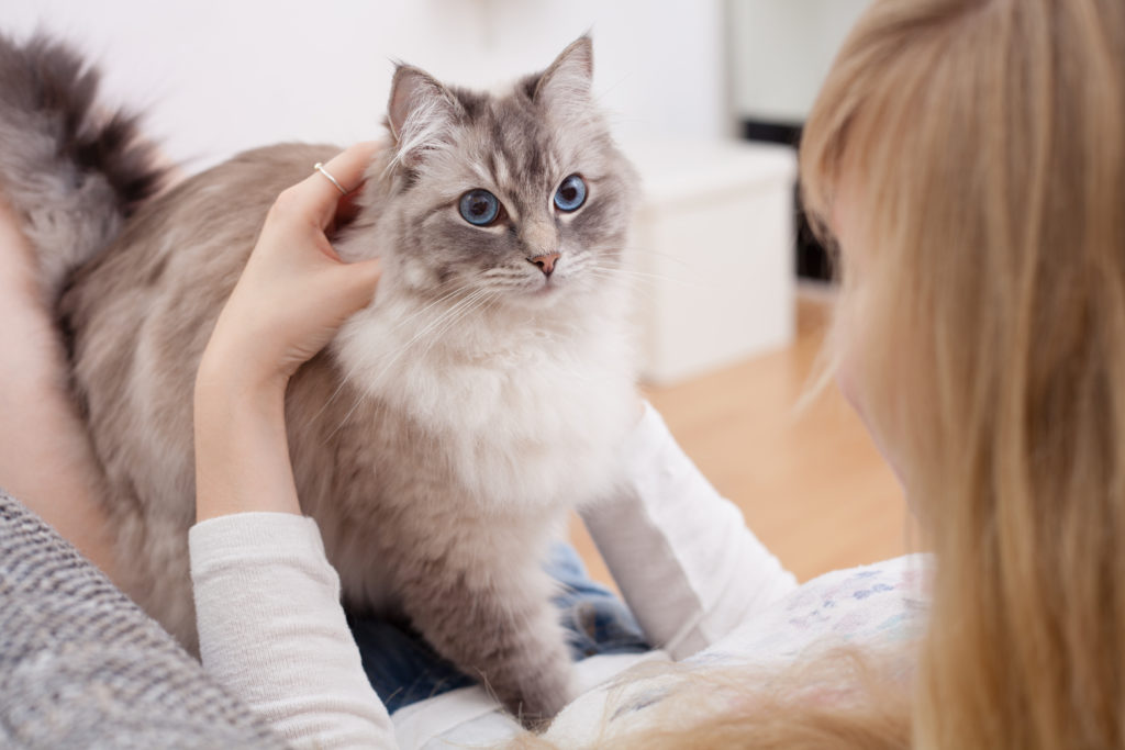 Ung kvinde med sin kat Ung kvinde med sin kat