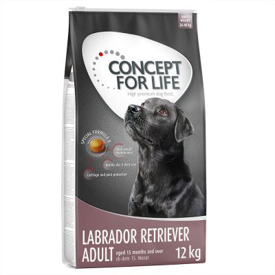 Labrador Retriever Adult 12 kg