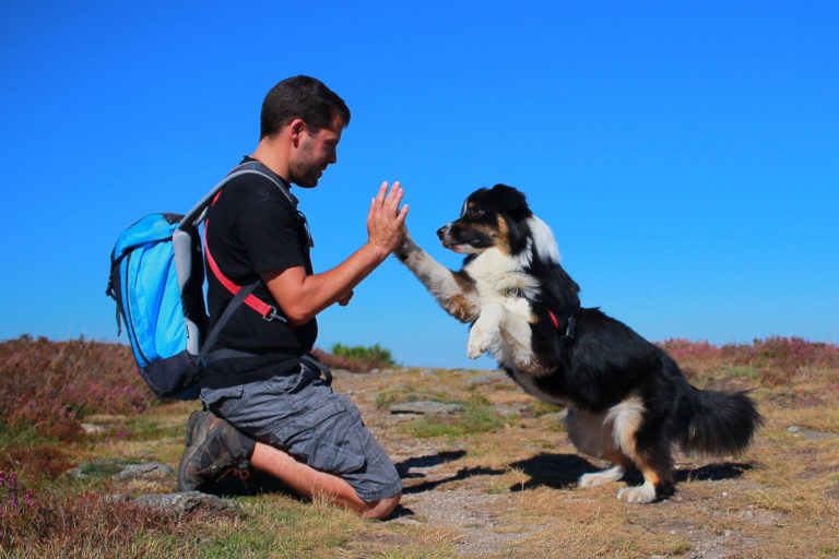 Mand og hund laver highfive