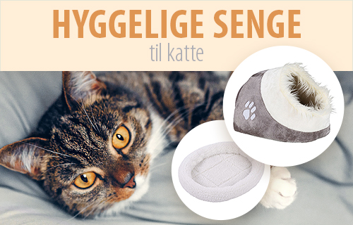 Hyggelige kattesenge