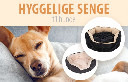 Hyggelige hundesenge