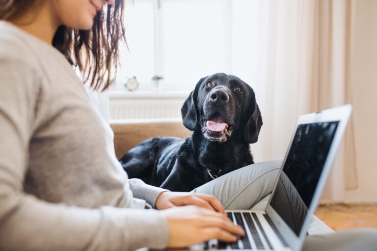 Frau mit schwarzem Labrador Hund im Homeoffice