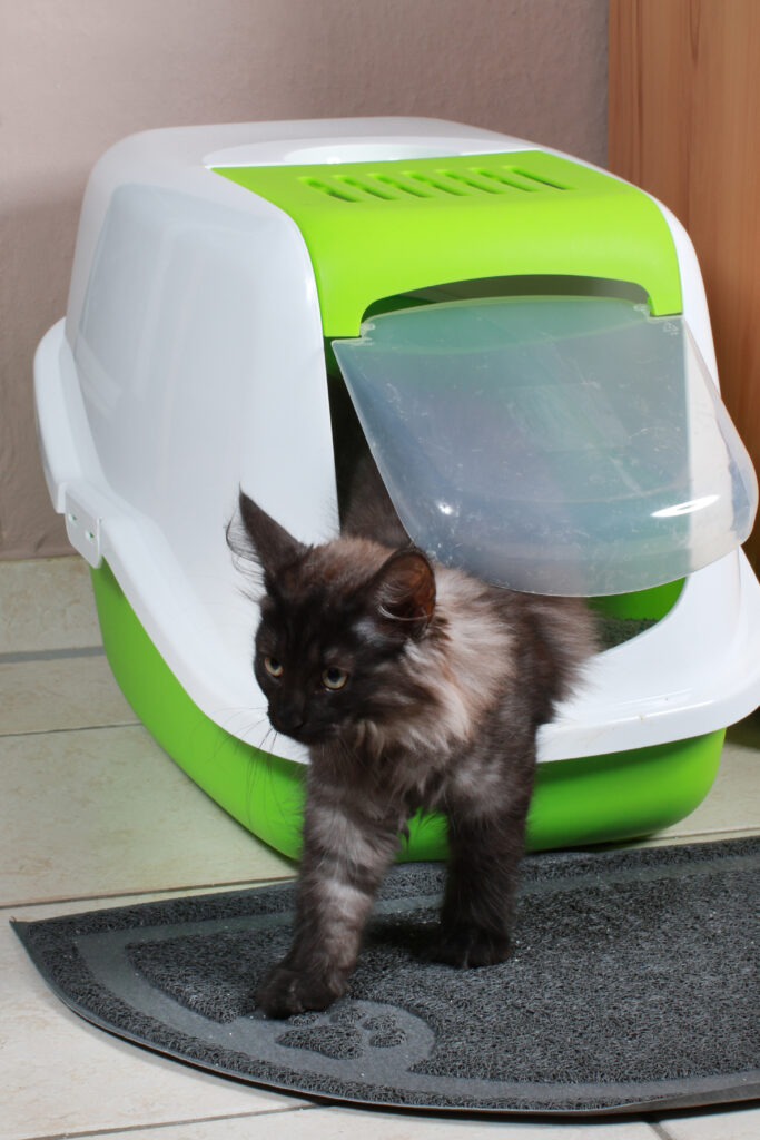 kattetoilet med hus kattetoilet med hus