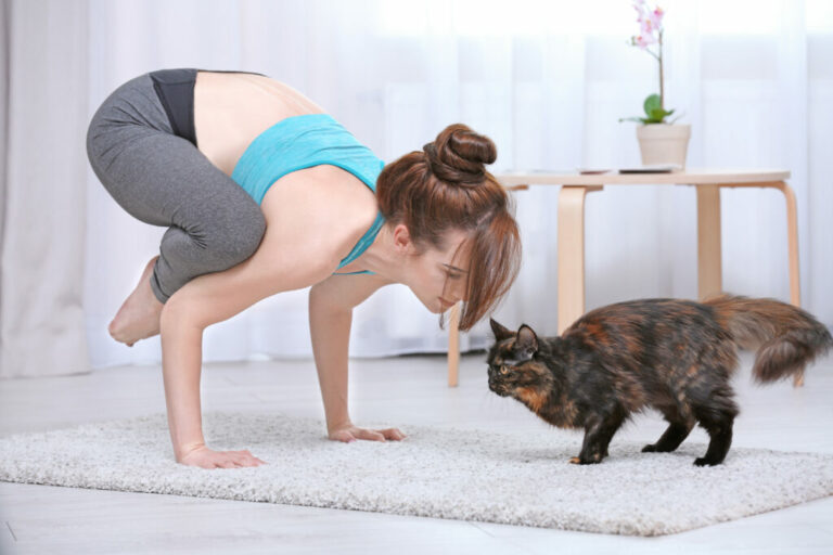 katte yoga