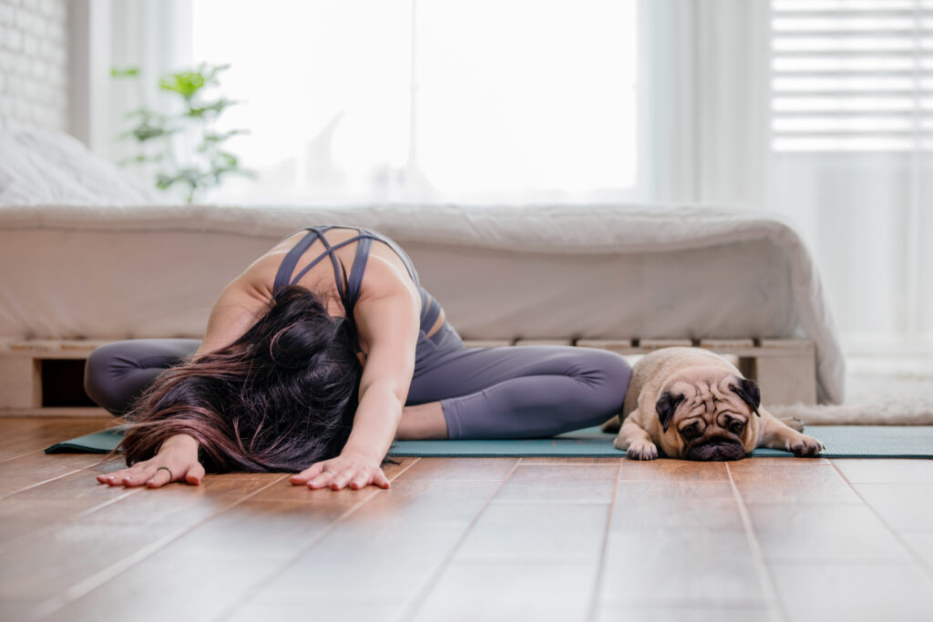 frau macht yoga mit hund