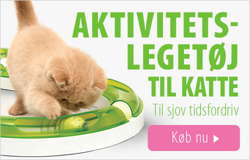 Aktivitetslegetøj til katte