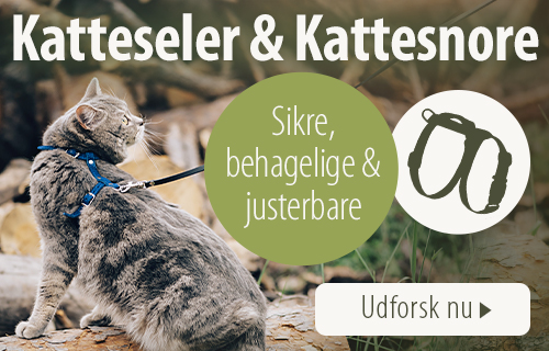 Katteseler og kattesnore