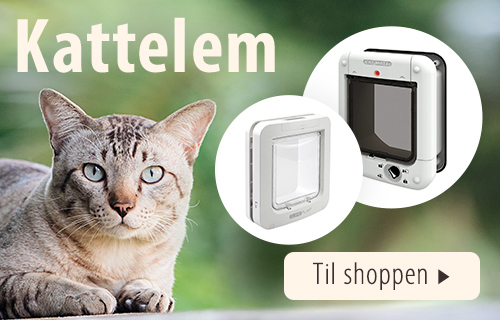 Kattelemme