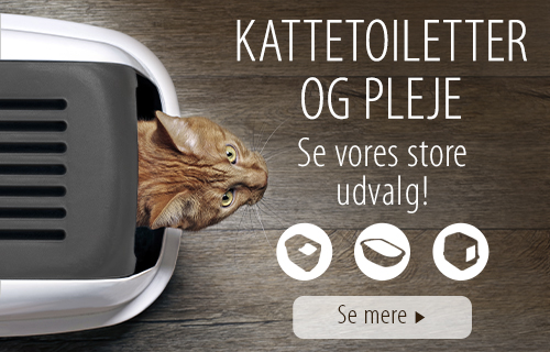 Kattetoiletter og pleje