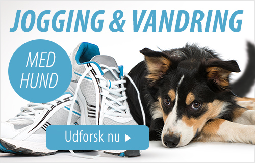 Jogging og vandring med hund