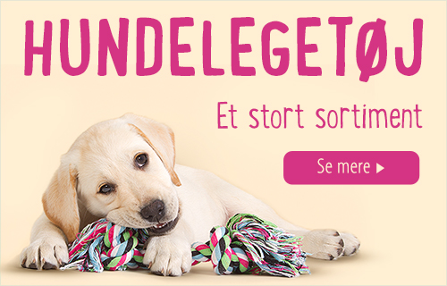 Legetøj til hunde