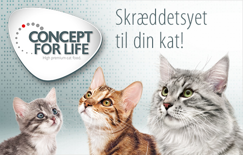 Concept for Life til katte