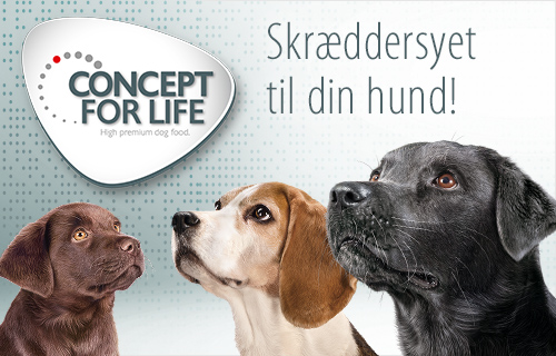 Concept For Life hund