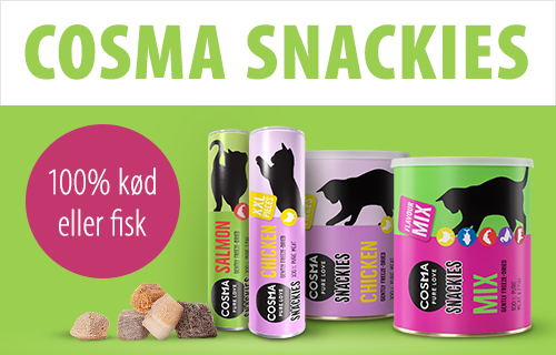 cat cosma snackies