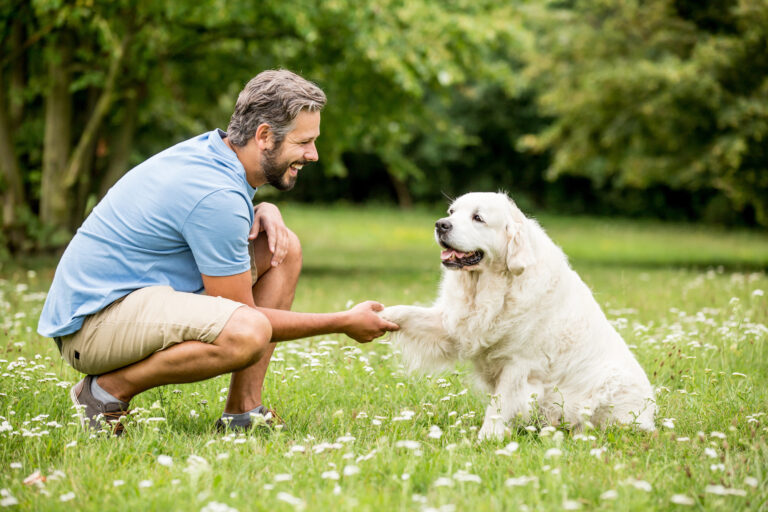 hundetræner med golden retriever