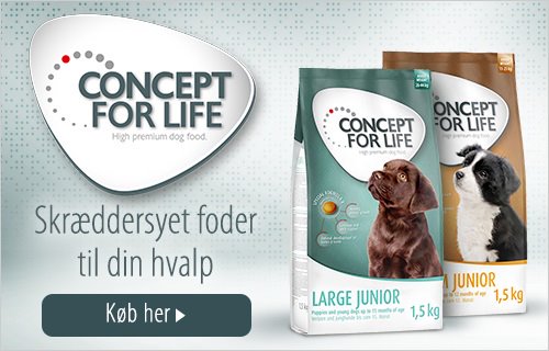 Concept For Life Hvalpefoder Hund