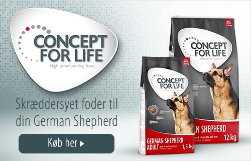 Concept for Life German Shepherd Hundefoder