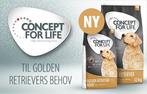 Concept for Life Golden Retriever Hundefoder