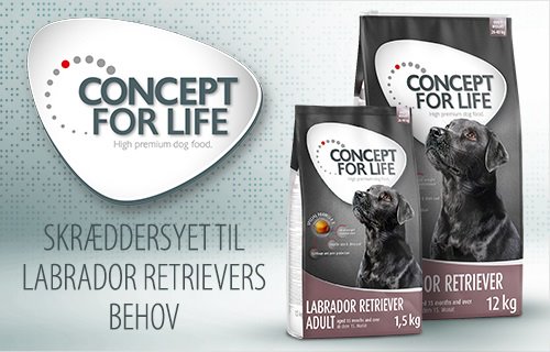 Concept for Life Labrador Retriever Hundefoder