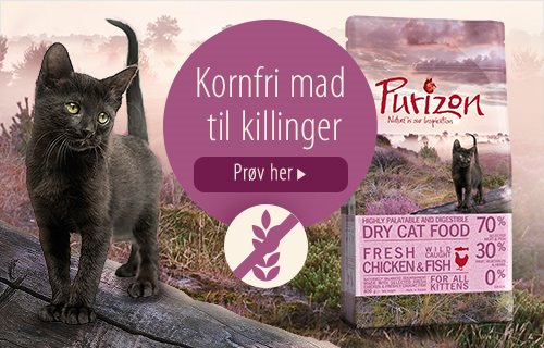 Purizon Kornfri mad til killinger Kat