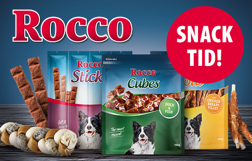 Rocco Snacks Hund