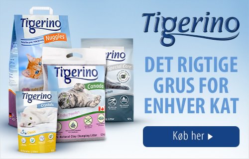 Tigerino Kattegrus