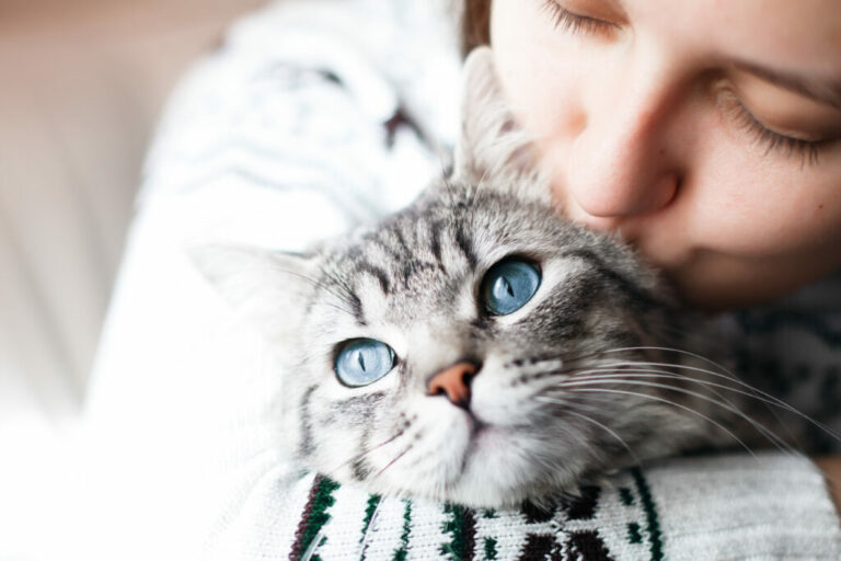 Kat med smukke og sunde øjne