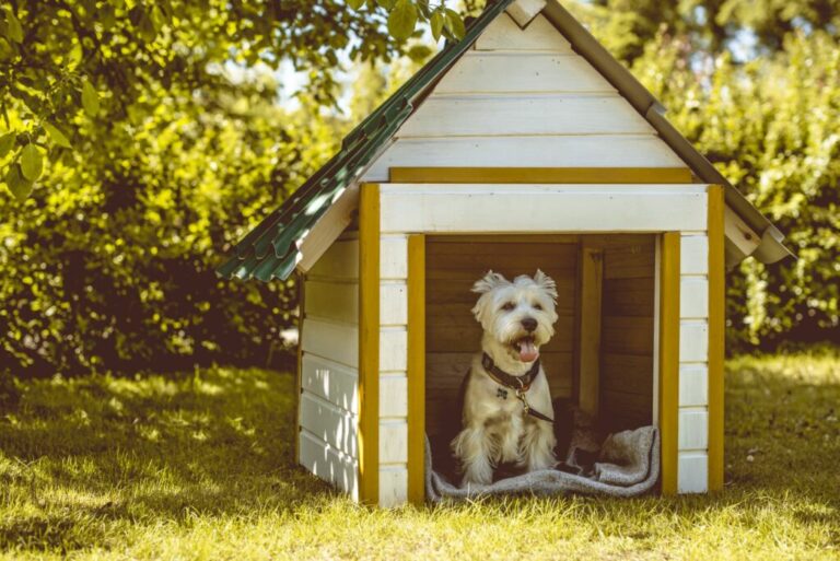 Byg selv hundehus