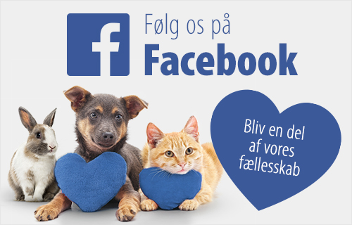 Følg os på facebook